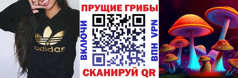Галлюциногенные грибы мицелий  наркота  Нижняя Салда 